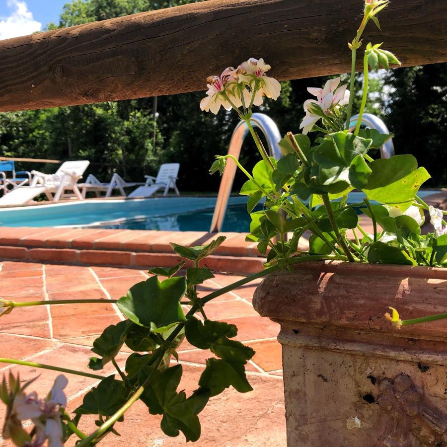 Villa Magda Todi Exterior foto